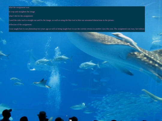 bill screenshot