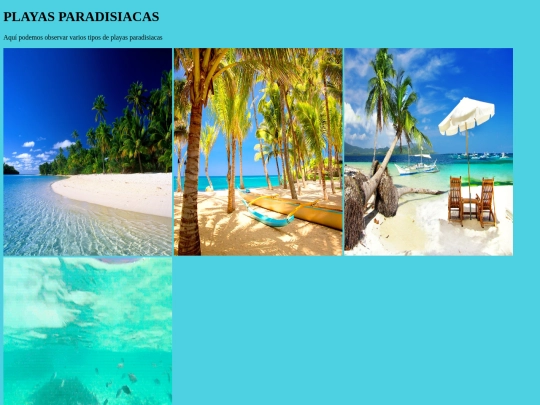 PrimerTrabajo/dos/2 screenshot