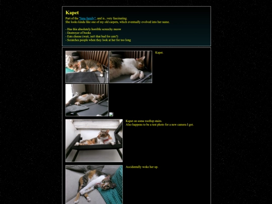 cat/kapet screenshot