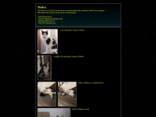 cat/malica screenshot