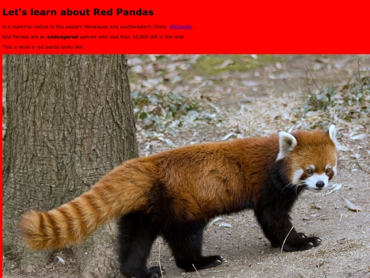 redpanda screenshot