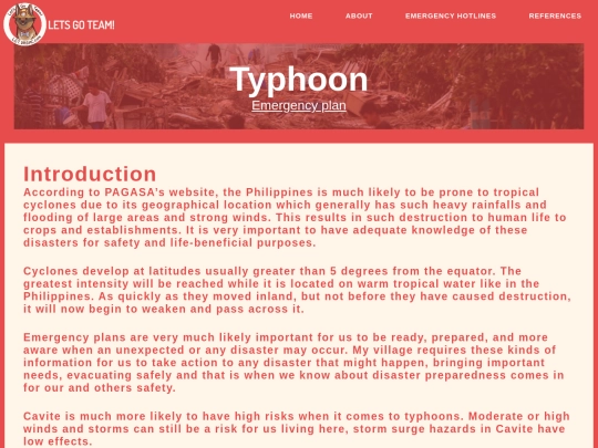 TyTyphoon screenshot