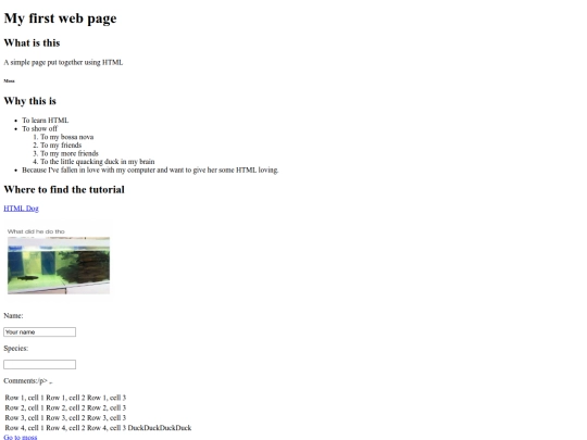 html/myfirstpage screenshot