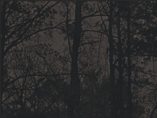 backgrounddummy screenshot