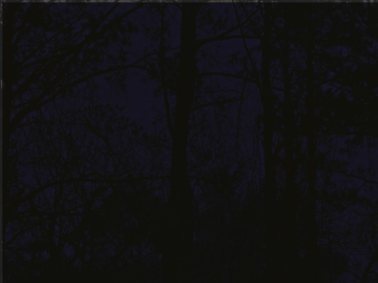 bgdummy2 screenshot