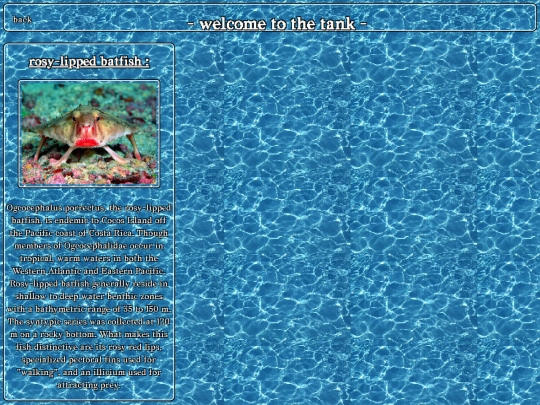 tank/tank screenshot