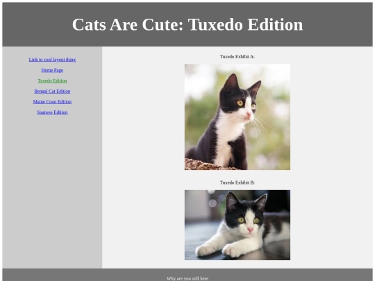 school_websites/page2 screenshot