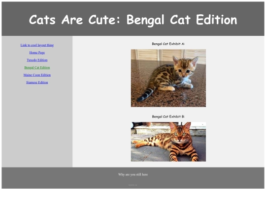 school_websites/page3 screenshot