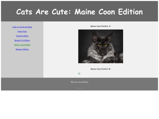 school_websites/page4 screenshot