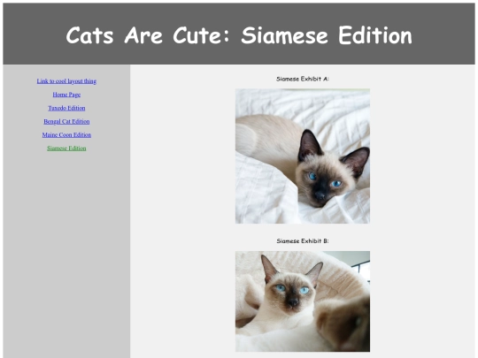 school_websites/page5 screenshot