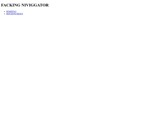 navigatorjebanyj screenshot