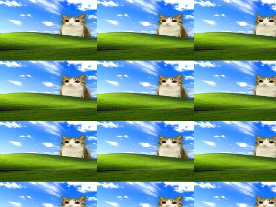 carmelln screenshot