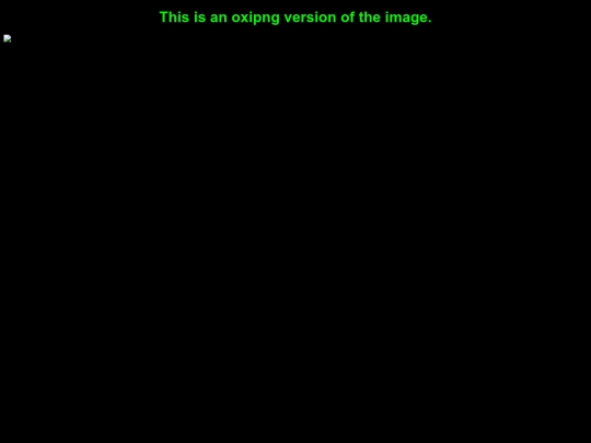 tests/oxipng screenshot