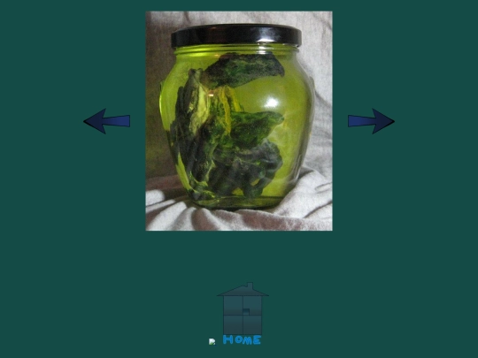 sculpture/pickled_punks/mandelbrot screenshot