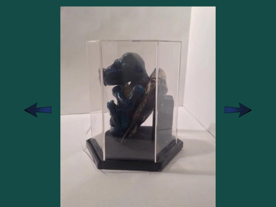 sculpture/pickled_punks/mandelbrot02 screenshot
