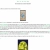 south indies text & music publishing -- bill direen texts      & songs avatar