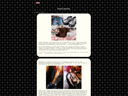 boylog screenshot