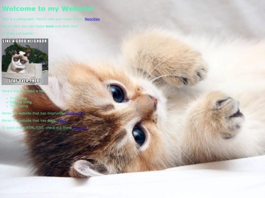cats screenshot