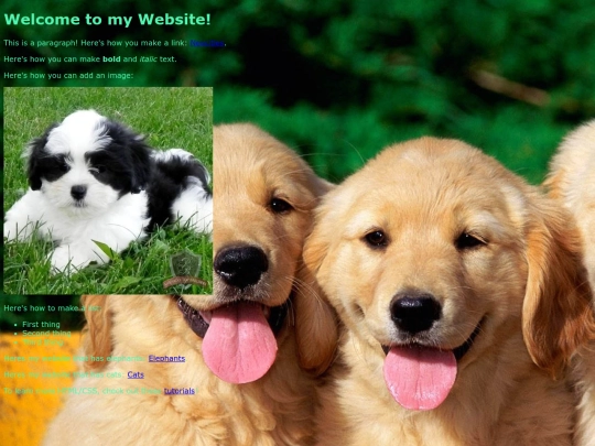 dogs screenshot