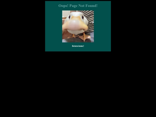 not_found screenshot