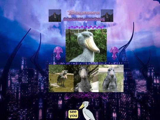 shoebill screenshot