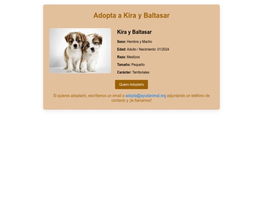 HTML/Kira y Baltasar screenshot