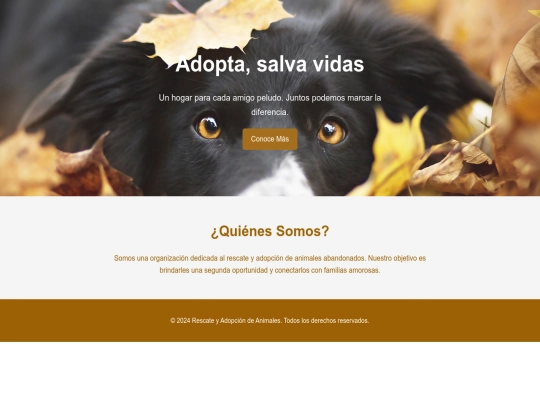 HTML screenshot