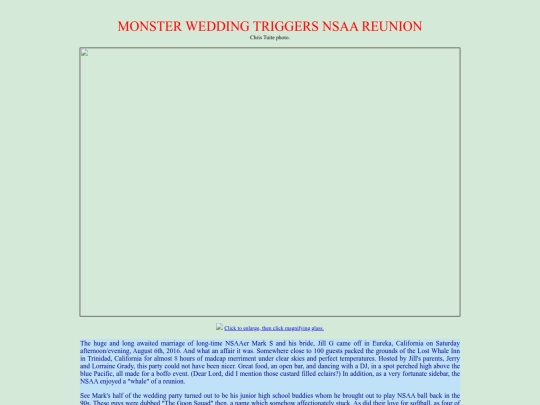WedPage screenshot