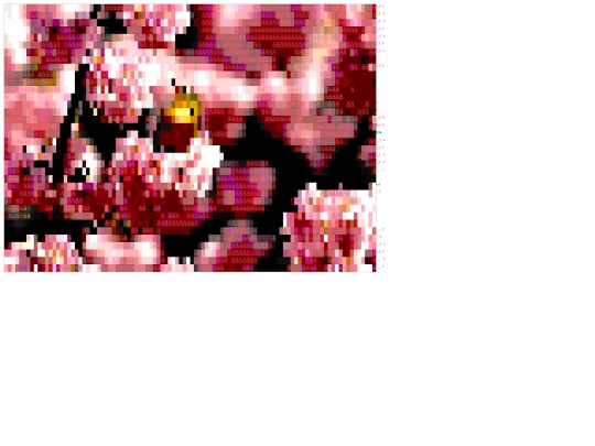 test/ansi-art screenshot