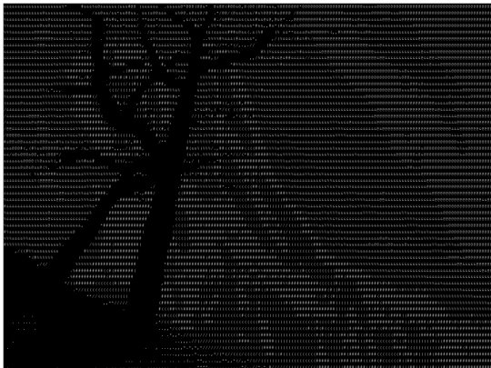 test/ascii-art screenshot