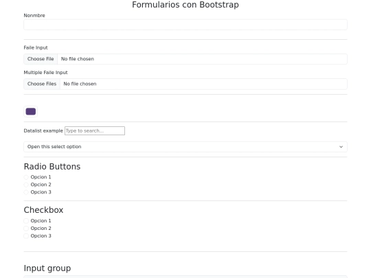 formularios_practicas/index4 screenshot