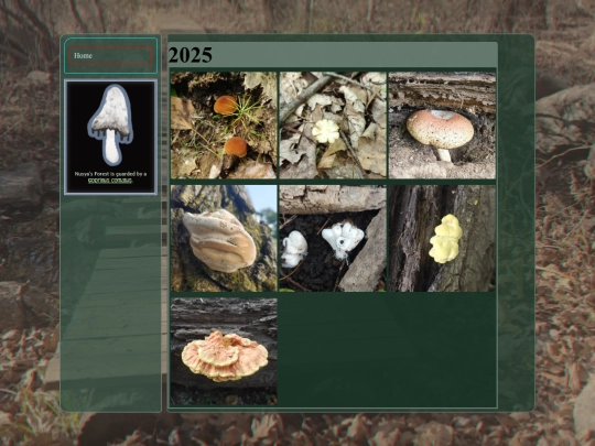 mushrooms screenshot