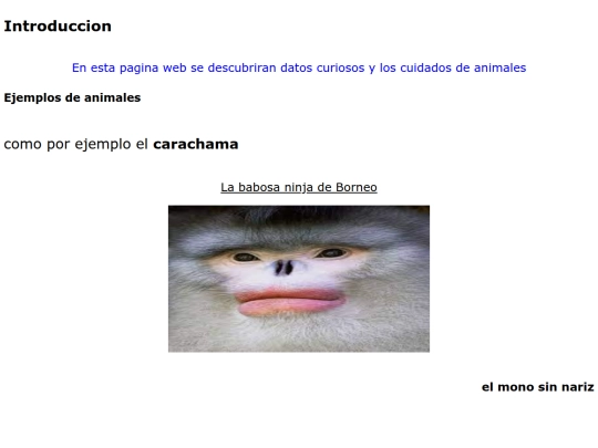 practica4 screenshot