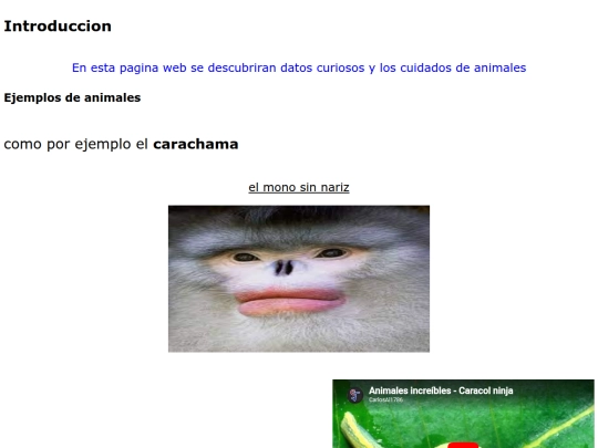 practica5 screenshot