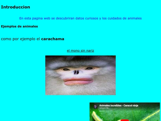 practica6 screenshot