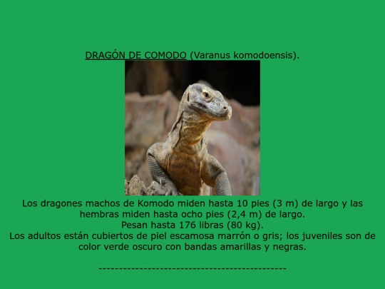 reptiles screenshot