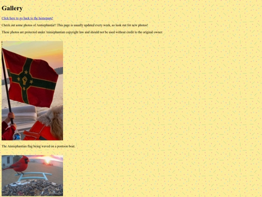 gallery screenshot
