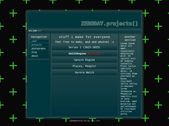 projects screenshot