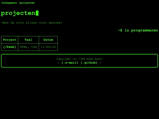terminal/nl/projects screenshot