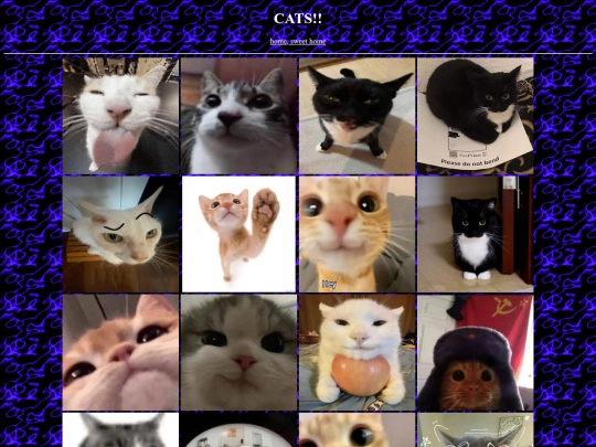 cats screenshot