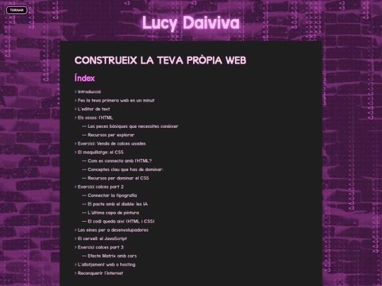 guia/programacio-web screenshot