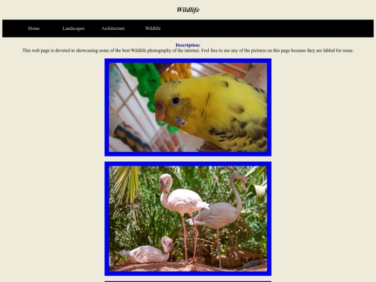 3 screenshot