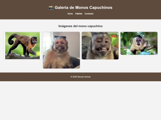 capuchino_galeria screenshot