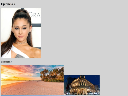 img screenshot