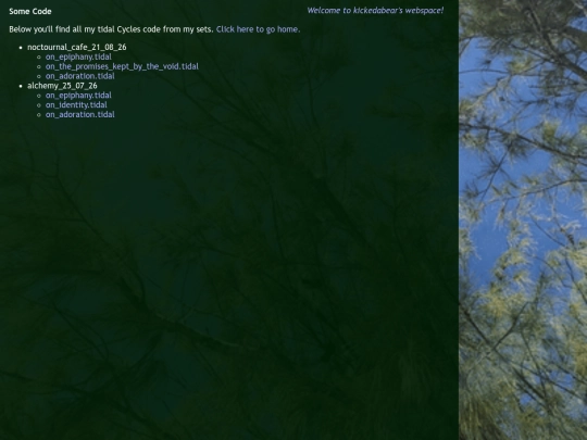 codedir screenshot