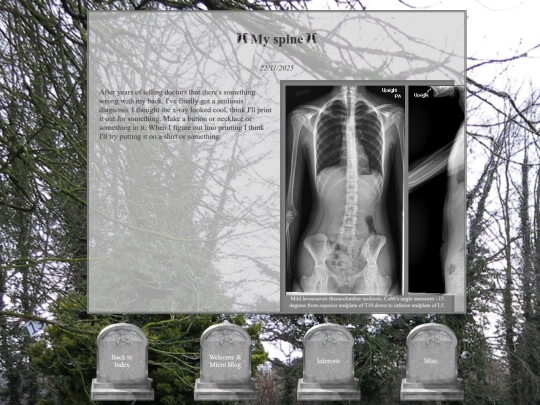 blog/misc/x-ray screenshot
