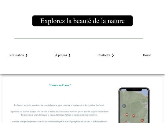 Constat screenshot