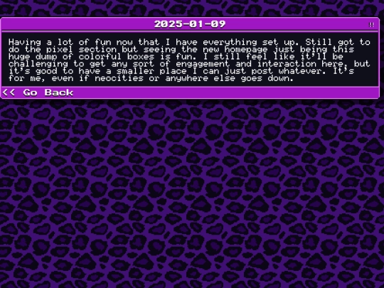 micro/2025-01-09 screenshot