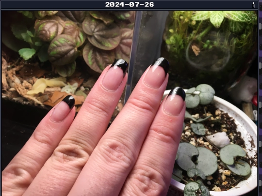 nails/2024-07-26 screenshot