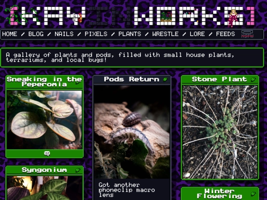 plants/2 screenshot